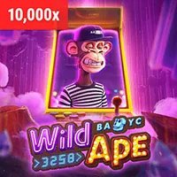 Hình ảnh minh họa các biện pháp bảo mật và mã hóa dữ liệu tại sa88 casino